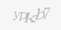 Защитный код